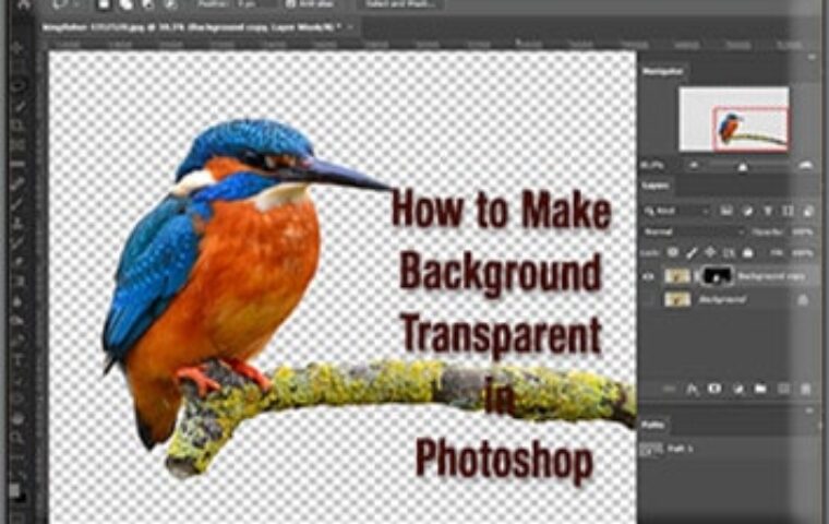 How to Make Background Transparent in Photoshop